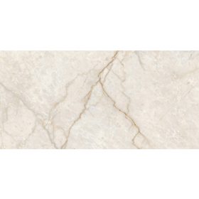 Granito Champagne Glossy 30x60