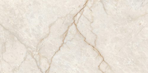 Granito Champagne Glossy 30x60