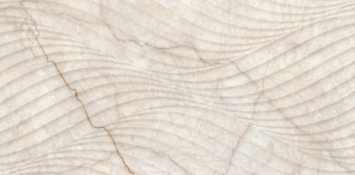 Granito Champagne Decor Glossy 30x60