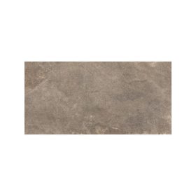 Ardesie Taupe 60x120