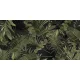 Tubadzin Beauty Garden járólap 60x120