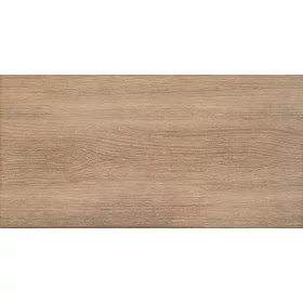 Domino Woodbrille Brown falicsempe 30x60