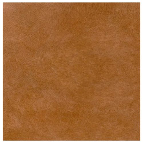 Safari marron