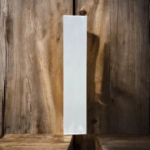 Splash dolphin  10x50